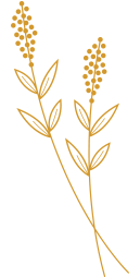 Floral element